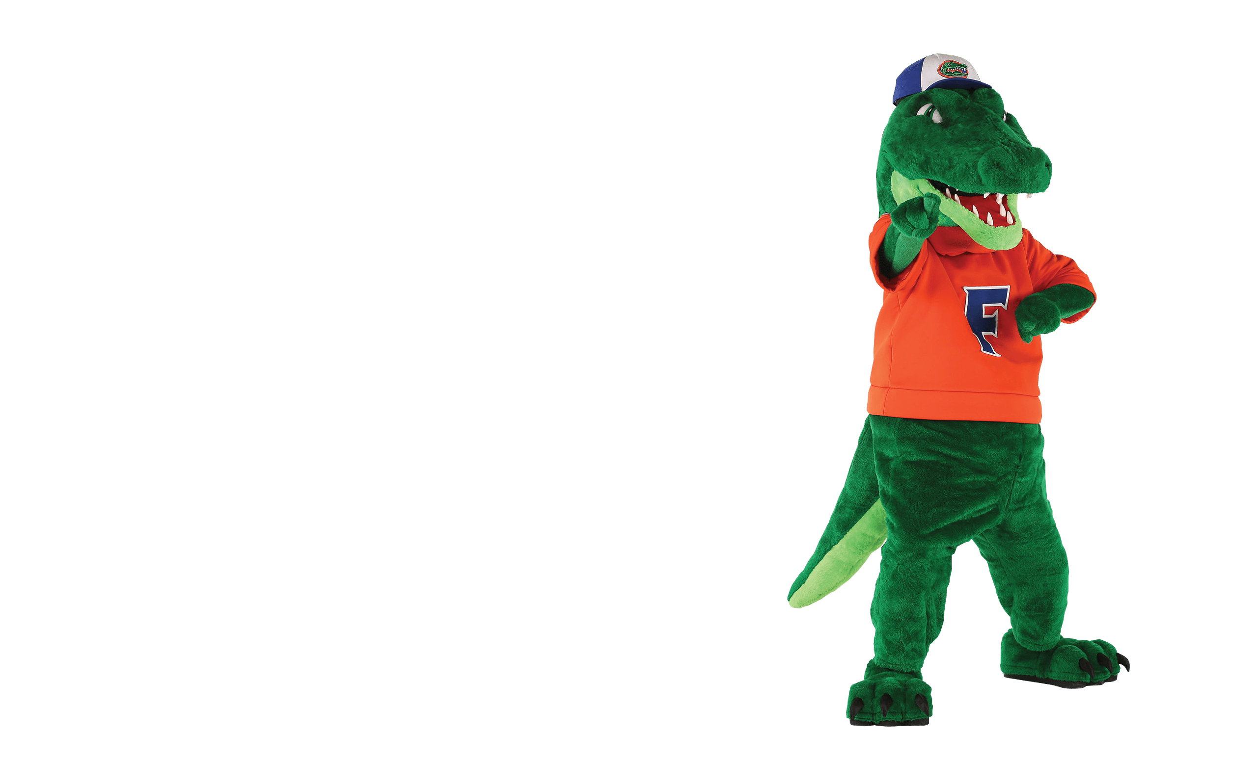 Florida Gator Mascot