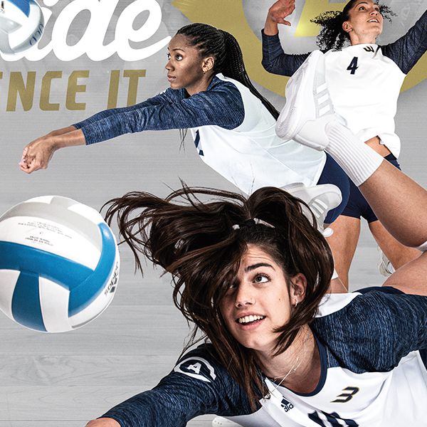 University of California, Davis
 Women's Volleyball Poster