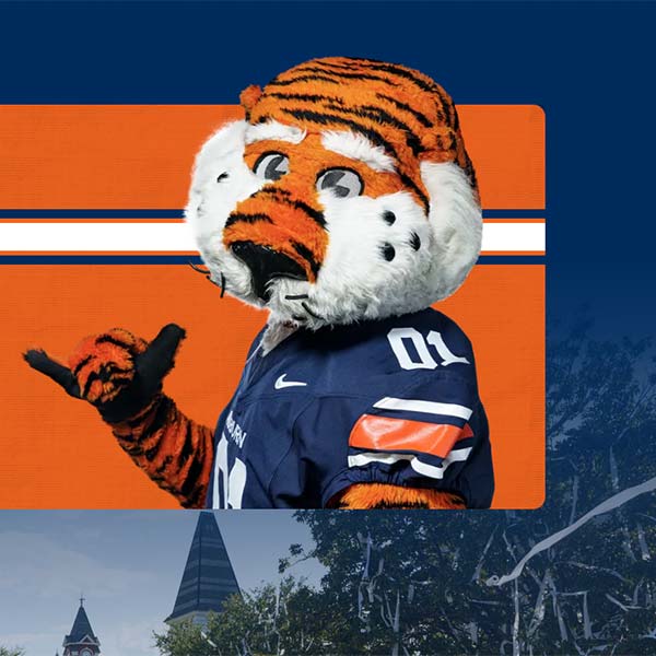 Ever Auburn Website
