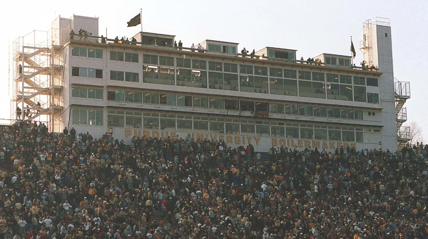 Fans in the stands